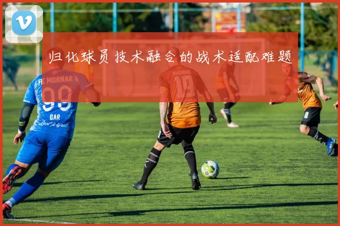 归化球员技术融合的战术适配难题