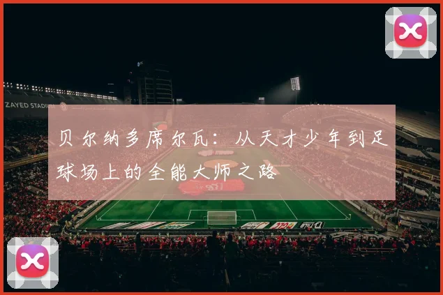 贝尔纳多席尔瓦：从天才少年到足球场上的全能大师之路